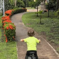 Shredding it